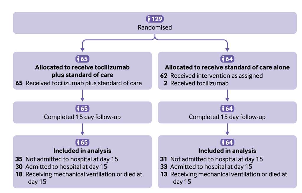 Le schéma récapitulatif de l'essai clinique mené au Brésil pour tester l'efficacité du tocilizumab sur les formes graves de la Covid-19. © Viviane C Veiga et al. BMJ