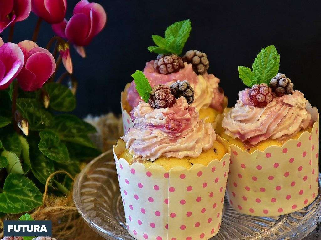 Dessert Cupcake chantilly framboise