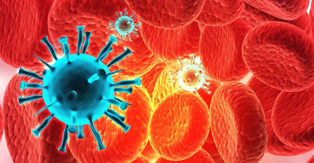 Quels sont les risques des nanosciences ? © Bluebay, Shutterstock