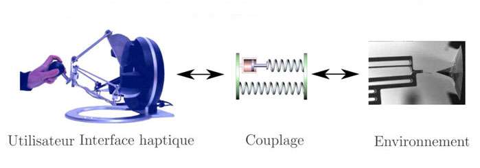 Illustration du couplage haptique entre le macro et le nanomonde. © ISIR