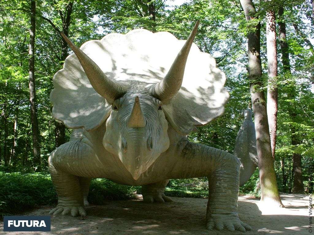Dinosaure à cornes Nasutoceratops titusi