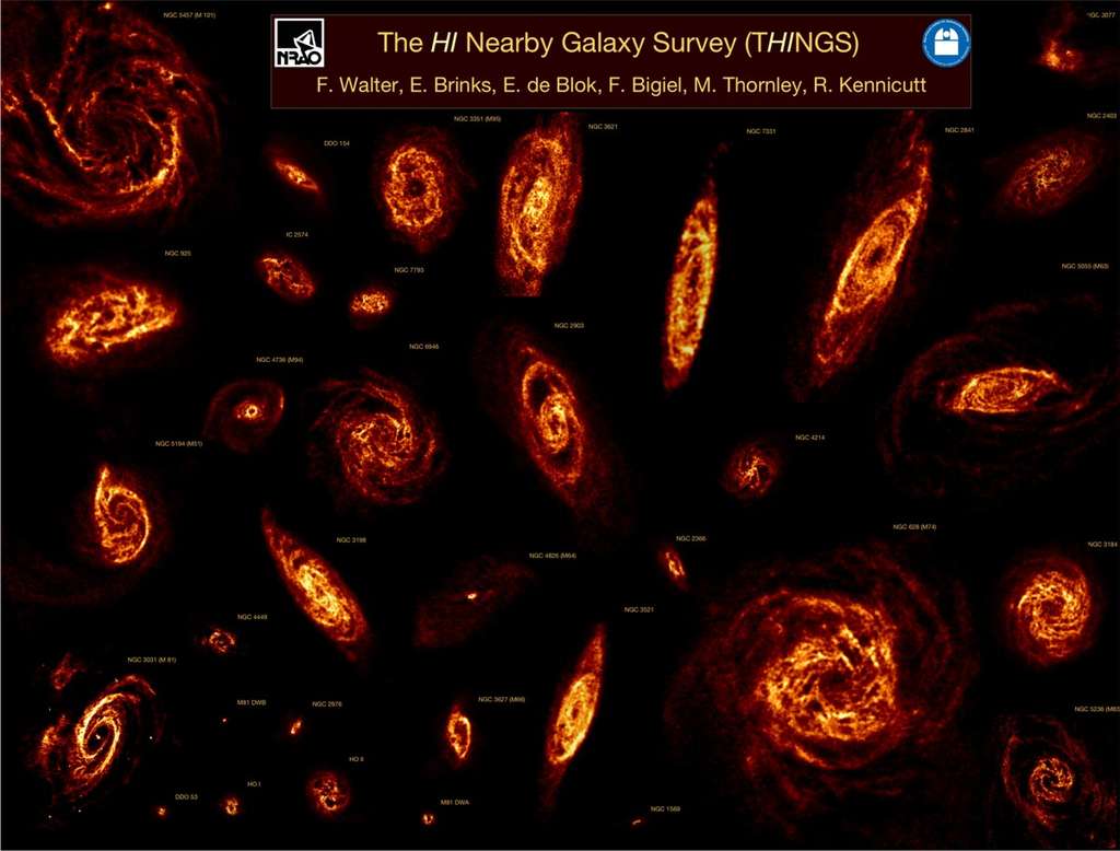 La distribution de nuages d'hydrogène dans des galaxies proches de la Voie lactée observée avec le VLA. © RAO/AUI et Fabian Walter, Max Planck Institute for Astronomy
