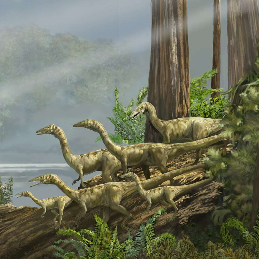 Un tiers des dinosaures n’aurait jamais existé Un tiers des dinosaures n’aurait jamais existé