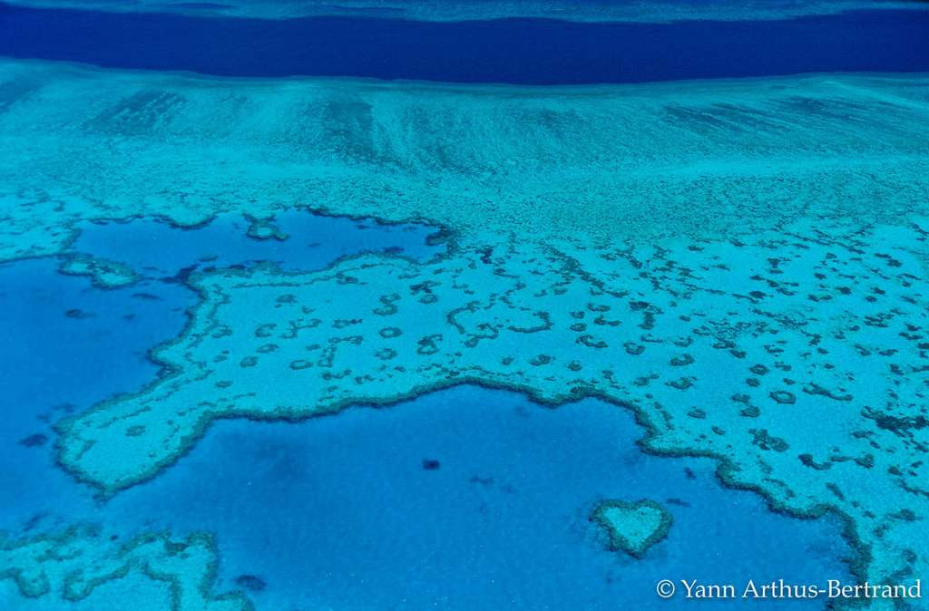 Le récif Hardy, un joyau de la Grande Barrière de corail Le récif Hardy, un joyau de la Grande Barrière de corail