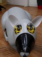 Le robot-rat Psikharpax est doté de vibrisses. © Christophe Grand, Steve Nguyen et Patrick Pirim, LIP6, ISIR & BVS 