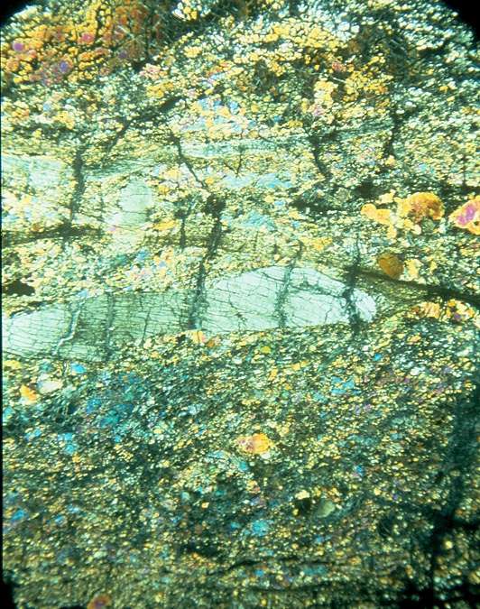 Ci-dessus, une péridotite affectée par une déformation schisteuse qui étire de grands cristaux de pyroxène (gris), au cours des dernières phases de mise en place. Hauteur réelle de la photo : 3 cm. © Jacques Kornprobst