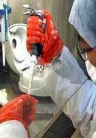 Un vaccin pour l'homme, efficace contre le virus H5N1 ? Un vaccin pour l'homme, efficace contre le virus H5N1 ?