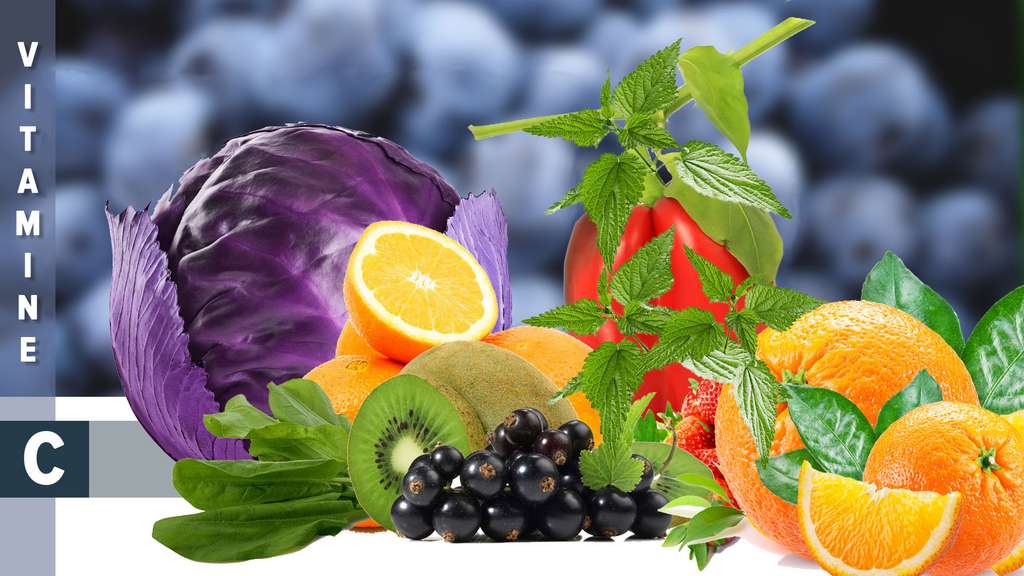 La vitamine C, une vitamine antioxydante La vitamine C, une vitamine antioxydante