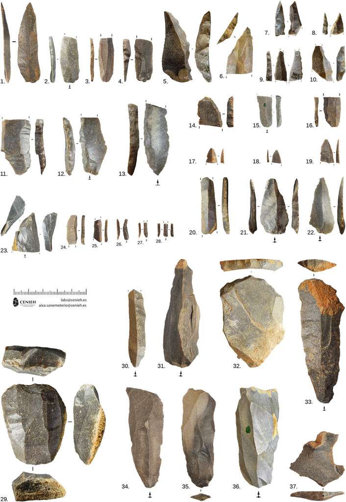 Remains of lithic industry characteristic of the Châtelperronian have been found at Aranbaltza II.  © Rios-Garaizar et al, 2022