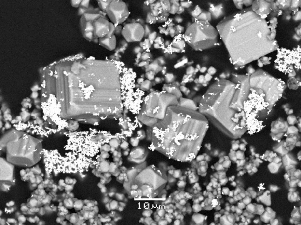Cliché en microscopie électronique à balayage de nano- et microparticules d’or (points brillants) qui se sont déposées, en laboratoire, avec des cristaux de pyrite de différentes tailles (ici de couleur grise), à partir d’une solution hydrothermale contenant du soufre et de l’or. De telles expériences simulent la formation des gisements naturels. Couplées avec des méthodes spectroscopiques in situ et des simulations numériques, elles montrent que l’or dans ces fluides se lie aux ions S3- qui rendent son transport et son dépôt très efficaces. © Maria Kokh et Tierry Aigouy