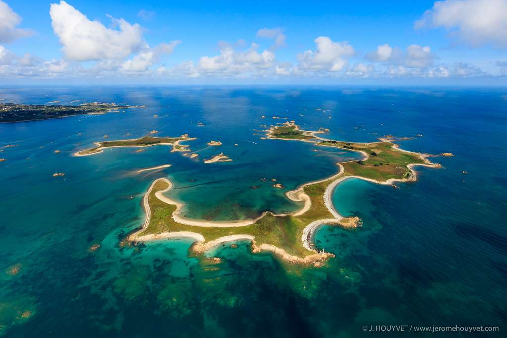 L’hippocampe de l’île d’Er L’hippocampe de l’île d’Er