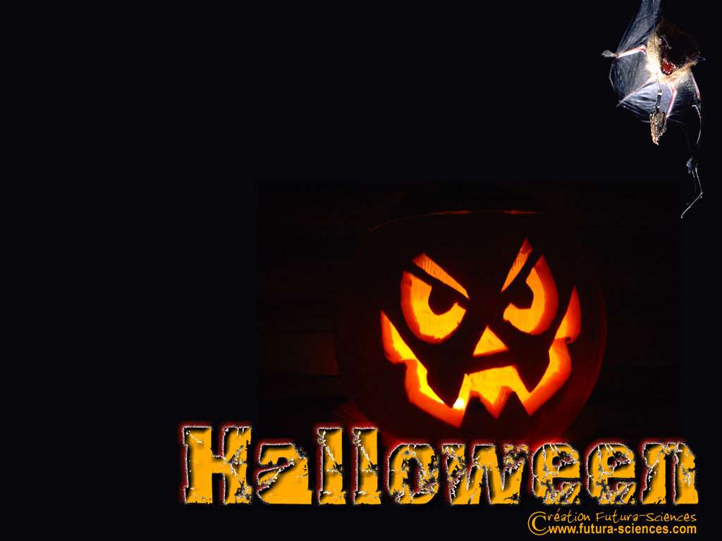 À Halloween, méfiez-vous de la nuit ! À Halloween, méfiez-vous de la nuit !