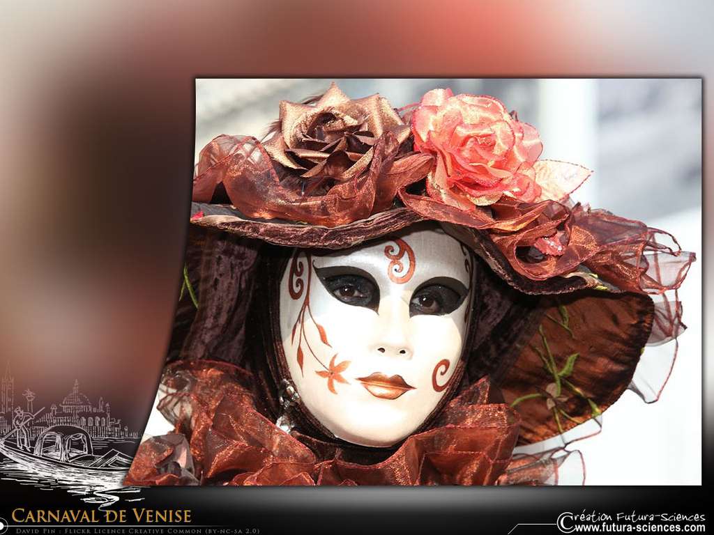 Carnaval de Venise - Roses Carnaval de Venise - Roses