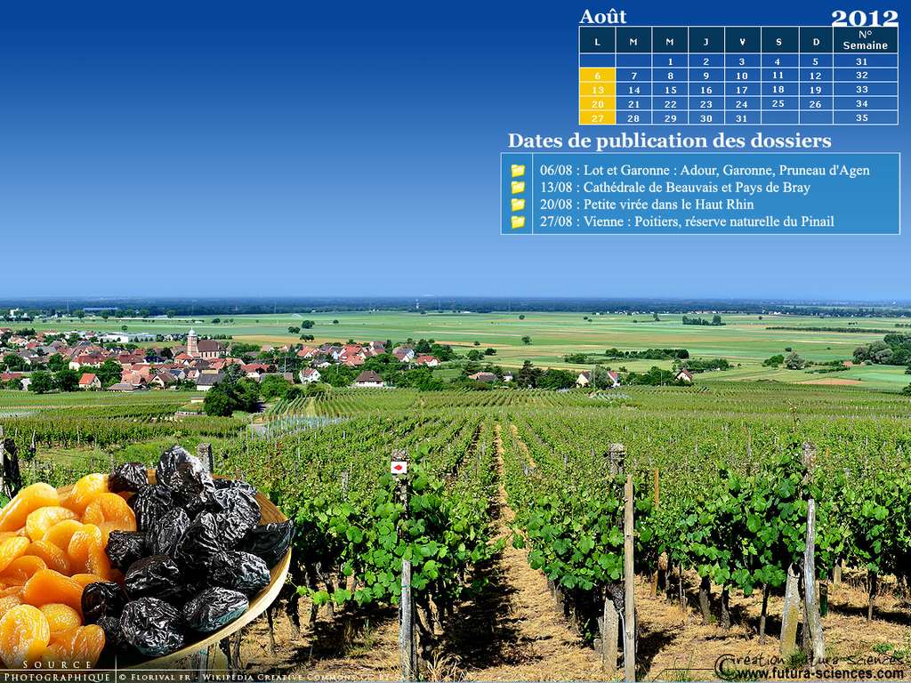 Calendrier Août 2012 Calendrier Août 2012