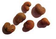 Graines de baobab. Graines de baobab.