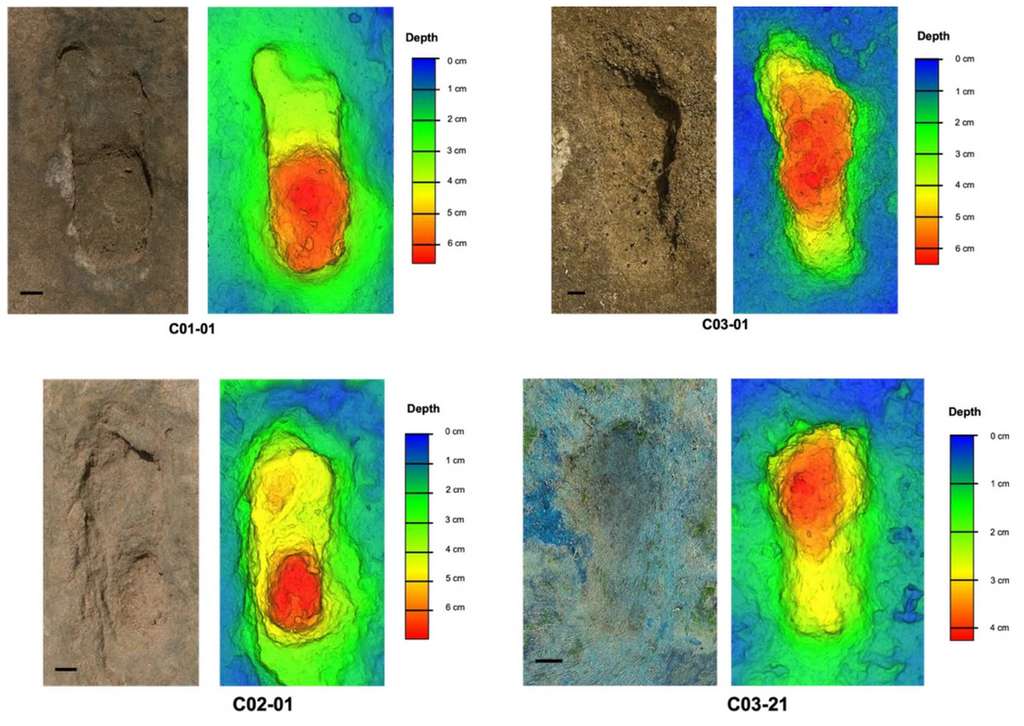 Exemples d'empreintes découvertes sur le site de Larache au Maroc. © Sedrati et al. 2024, Scientific Reports