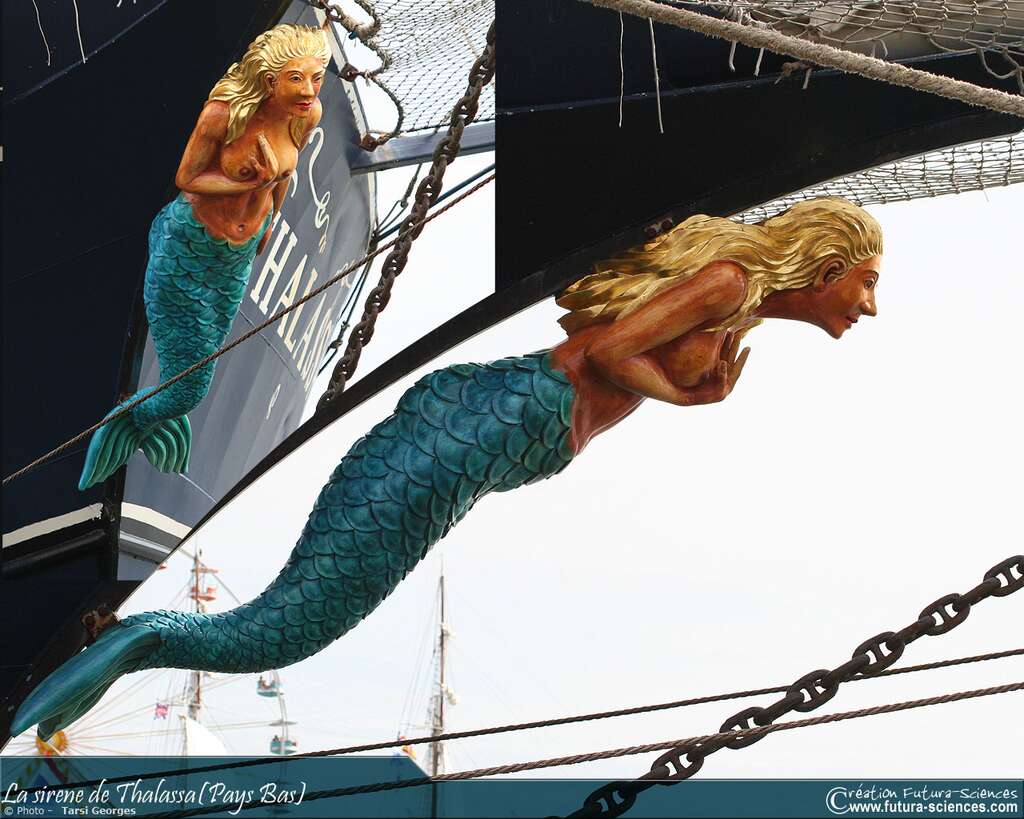 La sirène, figure de proue du Thalassa La sirène, figure de proue du Thalassa