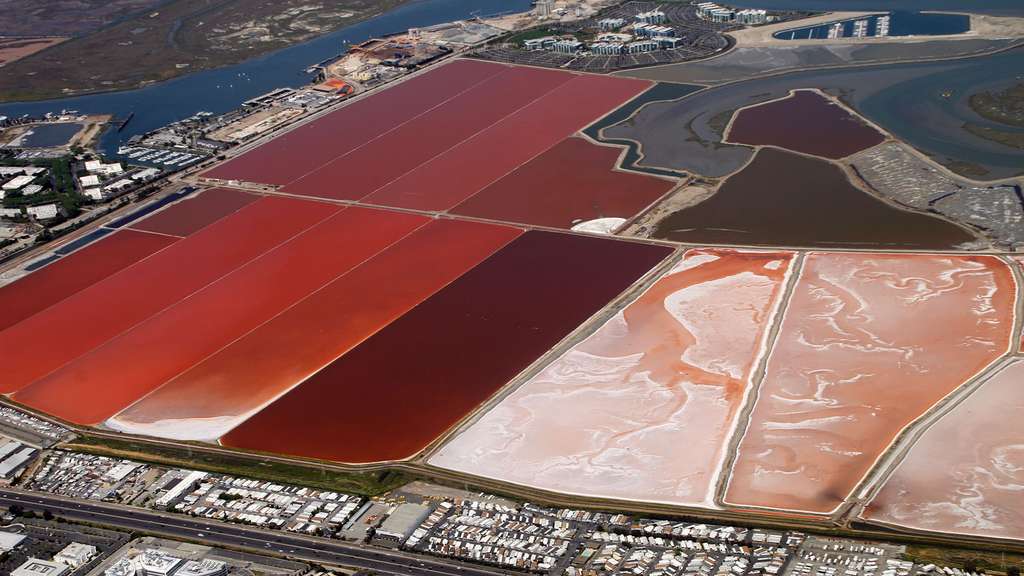 Du sel au cœur de la Silicon Valley Du sel au cœur de la Silicon Valley