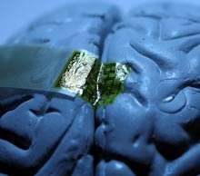 Le réseau d'électrodes, gravées sur un support souple, vient se coller intimement sur la surface du cerveau (ici un modèle factice). L'activité cérébrale peut ainsi être suivie en continu, à la milliseconde près et avec une résolution spatiale inférieure au millimètre. © John Rogers Le réseau d'électrodes, gravées sur un support souple, vient se coller intimement sur la surface du cerveau (ici un modèle factice). L'activité cérébrale peut ainsi être suivie en continu, à la milliseconde près et avec une résolution spatiale inférieure au millimètre. © John Rogers