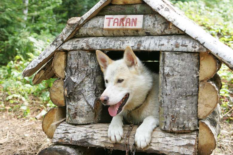 Taran Taran