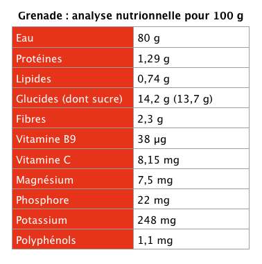 Définition | Grenade | Futura Santé