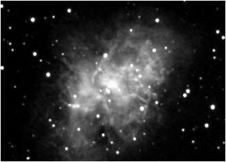 NGC 1952 (M 1) - La nébuleuse du Crabe NGC 1952 (M 1) - La nébuleuse du Crabe