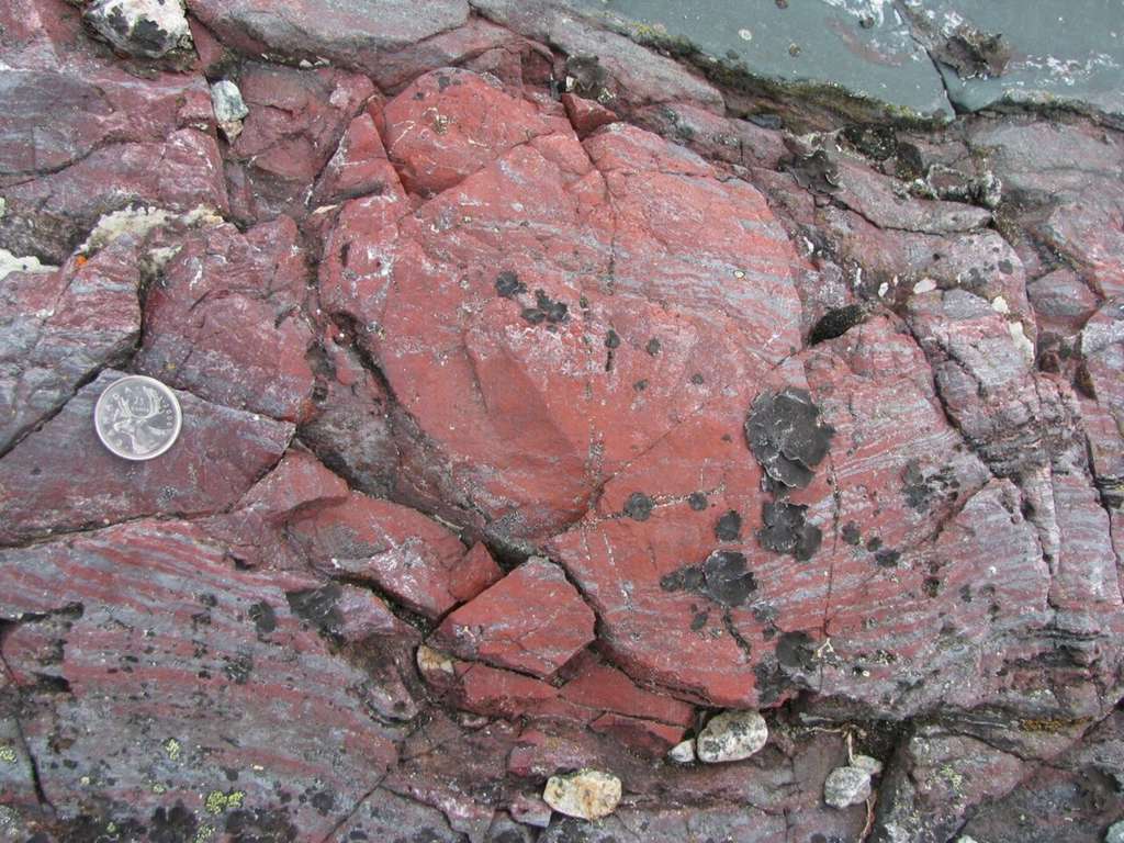 Une vue d'un affleurement de la ceinture supracrustale du Nuvvuagittuq (Nuvvuagittuq Supracrustal Belt ou NSB en Anglais) situé au Québec photographiée par Dominic Papineau. Localisée sur la rive est de la baie d'Hudson, à 40 km au sud-est de Inukjuak, au Québec, cette formation rocheuse composée de roches volcaniques métamorphisées mafiques et ultramafiques associées à des roches sédimentaires est l’une des plus anciennes connues sur Terre. © Dominic Papineau