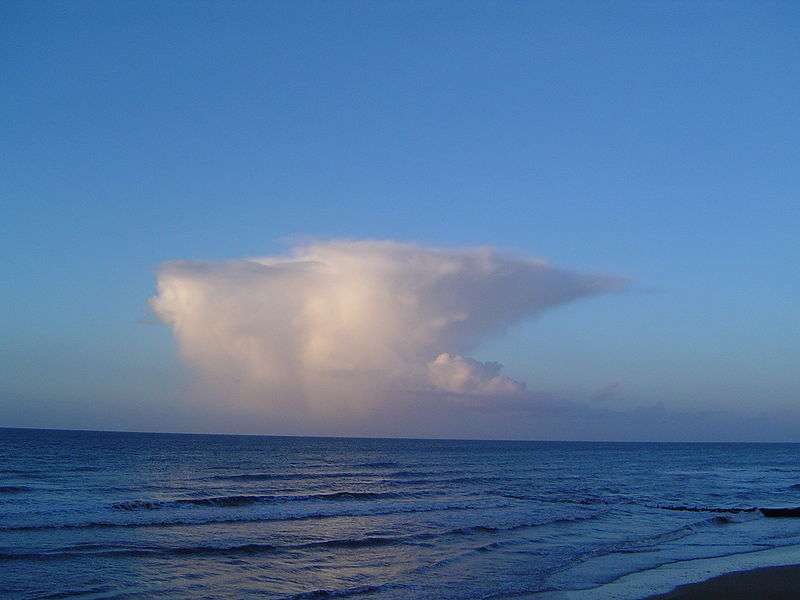 Un cumulonimbus bien formé, avec son enclume. Ce nuage d'orage est le siège de puissances ascendances et de violentes turbulences. Des grêlons y virevoltent parfois et ce géant peut brutalement lâcher un déluge. © Cevenol2, Wikimedia Commons, cc by sa 1.0
