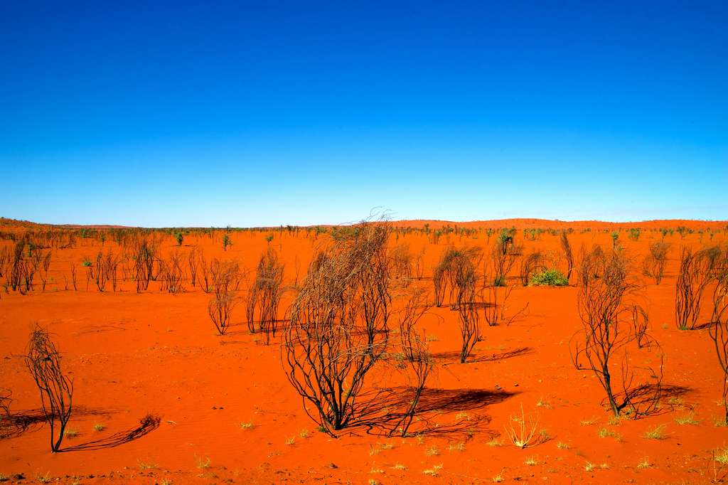 Dans la région désertique de Pilbara, le record de chaleur de l'hémisphère sud a sans doute déjà été dépassé, mais cette zone très reculée et sauvage manque de stations météo dans les endroits les plus chauds. © scott, Adobe Stock