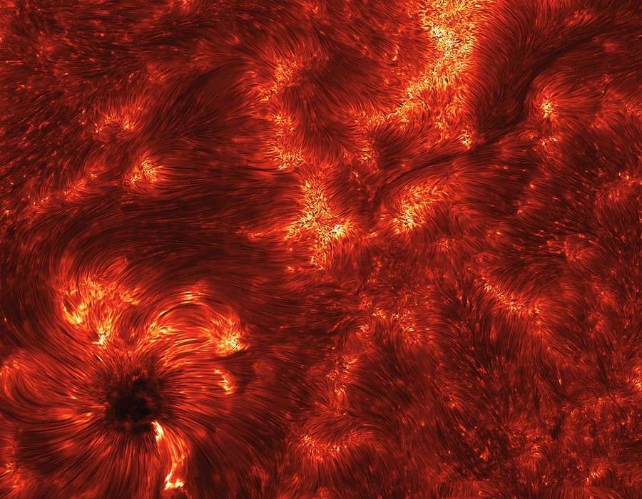 Les spicules Les spicules