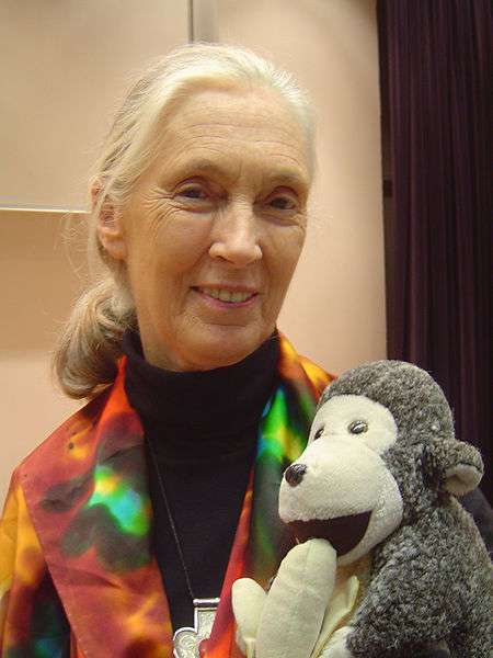 Jane Goodall. © Jeekc, GNU FDL Version 1.2