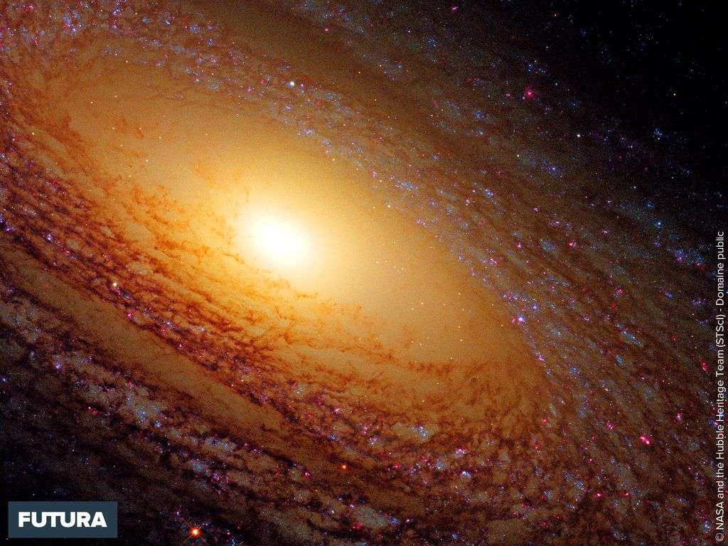 NGC 2841 galaxie spirale