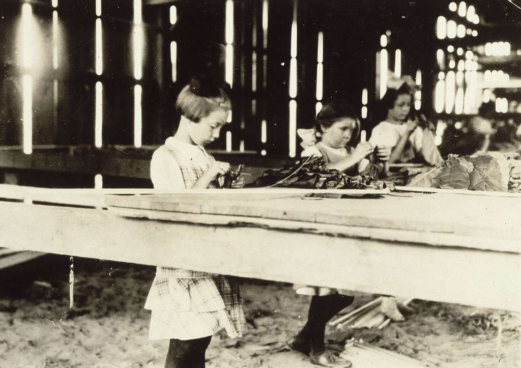 Enfants travaillant dans une manufacture de tabac, USA ; photo Lewis Hine, début XXe siècle. Musée d'Orsay, Paris. © RMN - Grand Palais / J.G. Berizzi / Lewis Hine. Enfants travaillant dans une manufacture de tabac, USA ; photo Lewis Hine, début XXe siècle. Musée d'Orsay, Paris. © RMN - Grand Palais / J.G. Berizzi / Lewis Hine.