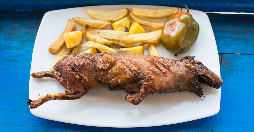 Top 5 Des Aliments Les Plus Degoutants Au Monde