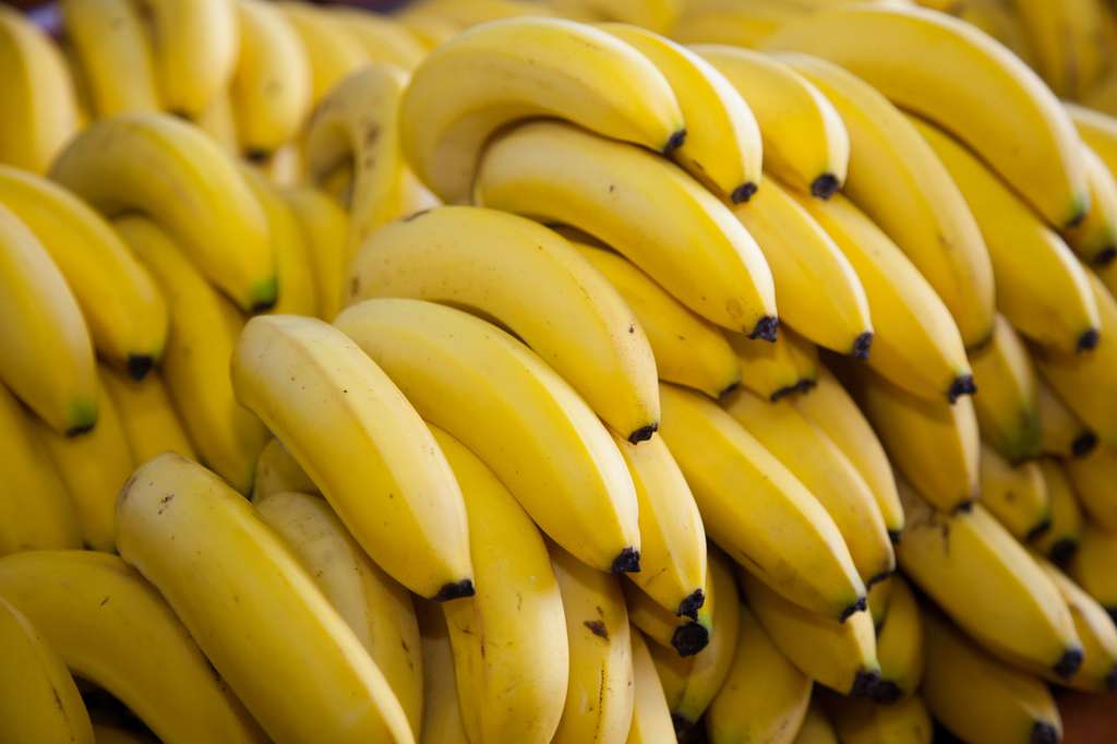 En Ouganda, des entreprises exploitent les fibres des bananes pour fabriquer des sacs en papier solides et qui se dégradent rapidement dans la nature. Une manière d’utiliser ce qui, sinon, constituerait un déchet. © Daniel Ernst, Adobe Stock