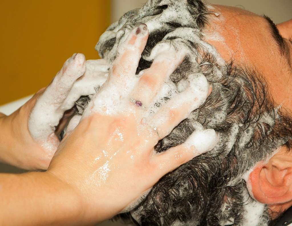 Se laver les cheveux ne suffit pas : il faut traiter pour éliminer les poux. © jackmac, Pixabay