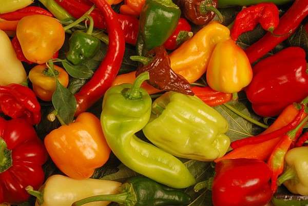 Photo Les Varietes De Piments Et Poivrons