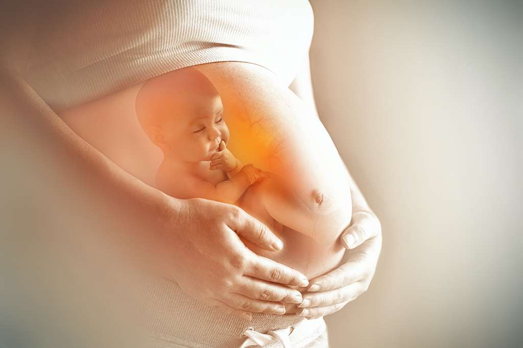 La spectrométrie de masse haute résolution a permis aux chercheurs d’identifier de nouveaux produits chimiques chez les femmes enceintes et les nouveau-nés. © Zffoto, Adobe Stock
