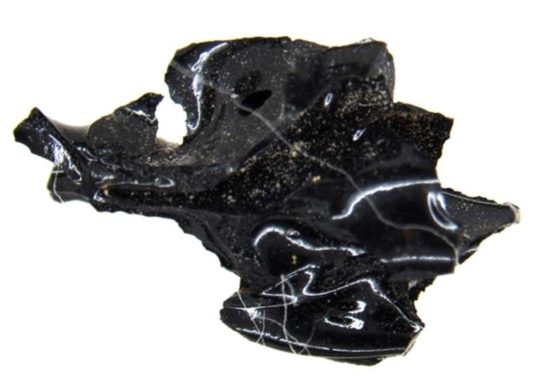 Fragment de cerveau d'une victime de l'éruption volcanique du Vésuve il y a près de deux mille ans. © Handout, Press office of the Herculaneum archaeological site, AFP
