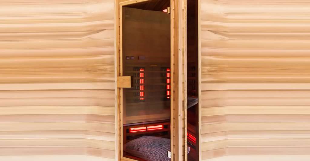 Sauna infrarouge. © Dario Lo Presti, Shutterstock