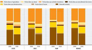 Figure 3 (cliquez pour agrandir). Abondance moyenne des espèces vivantes et causes de leur disparition. Le graphe indique les valeurs de 2000 et estimées pour 2030 pour, de gauche à droite, les pays de l'OCDE, ceux du BRIC, ceux du reste du monde et pour le monde entier. Les couleurs représentent (de bas en haut), la biodiversté restante (en marron) et, pour le reste, les pertes liées à l'azote, aux infrastructures, au morcellement des terres, à l'exploitation forestière, au climat et à l'agriculture (part la plus importante). © OCDE