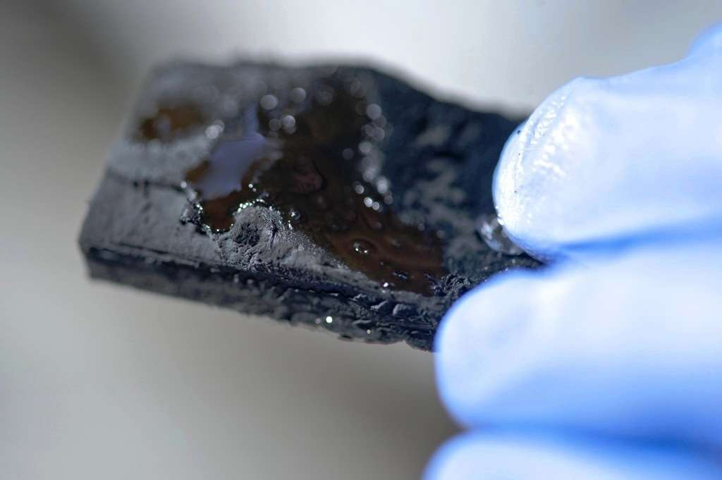 L'éponge en nanotubes de carbone gorgée d'huile. © Jeff Fitlow/Rice University