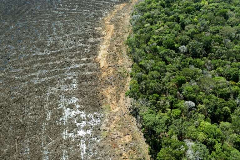 La Foret Amazonienne A Perdu Un Territoire De La Taille De L Espagne En 18 Ans