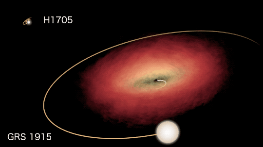 Cette animation compare le plus grand système, GRS 1915+105, découvert en 1992, avec son petit cousin H1705-25, découvert en 1977 lors de son éruption sous forme d'une nova à rayons X. On pense que leurs trous noirs pèsent respectivement 15 et 7 masses solaires. Le disque d'accrétion de GRS 1915 peut s'étendre sur plus 80 millions de kilomètres, soit plus que la distance séparant Mercure du Soleil. © Nasa's Goddard Space Flight Center and Scientific Visualization Studio