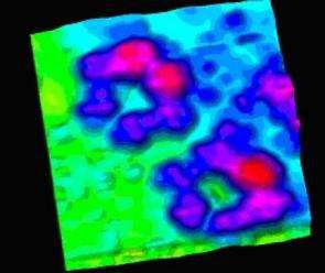 Des chercheurs ont synthétisé et photographié les plus grandes molécules fractales jamais créées par l'homme dans le nanomonde (Crédits : Saw-Wai Hla, Ohio University)