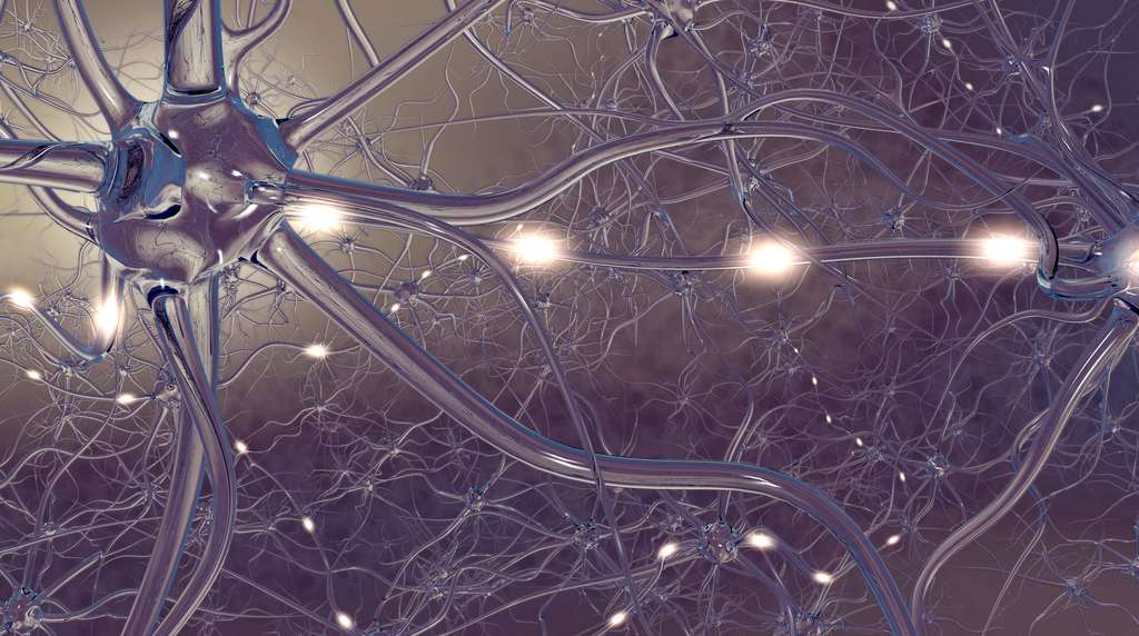 Des chercheurs du MIT ont trouvé le moyen de reproduire une constance de fonctionnement dans des synapses artificielles. © Sagittaria, Fotolia