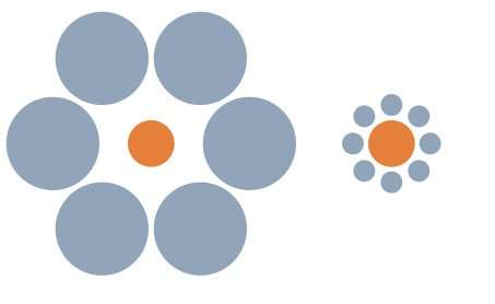 L'illusion d’Ebbinghaus ou les cercles de Titchener L'illusion d’Ebbinghaus ou les cercles de Titchener