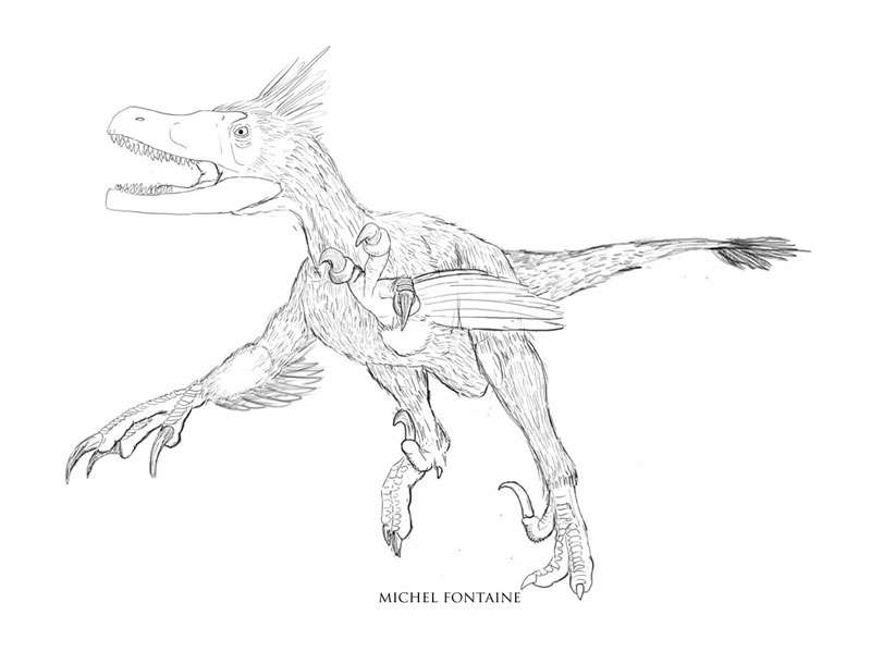 Variraptor première ébauche Variraptor première ébauche