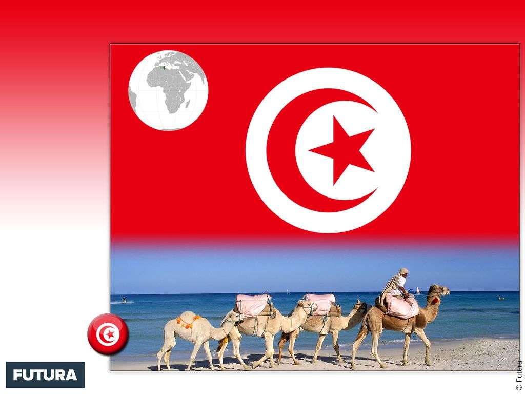 Fond D Ecran Drapeau Tunisie Fond D Ecran Drapeau Tunisie