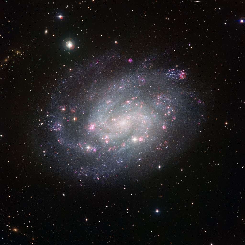 NGC 300 NGC 300